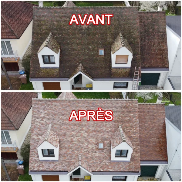 Mme TIPO — photo 5